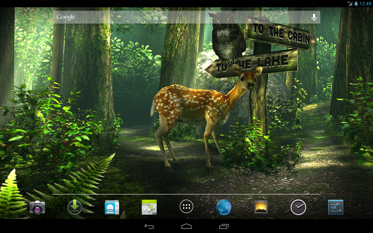 Forest HD 1.4