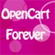 Forever Modern Store - Opencart Theme 1