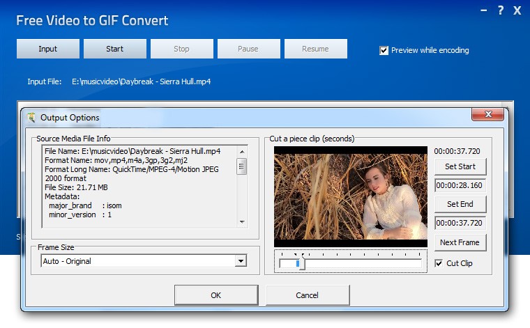 Free Video to GIF Convert 2.6.1
