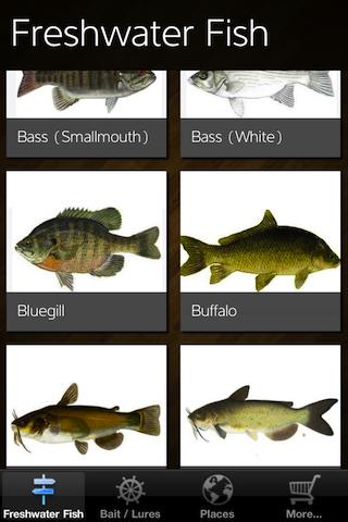 Freshwater Fishing - ID, Lures 1.0