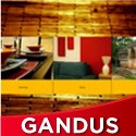 Gandus Portfolio Template 1.0