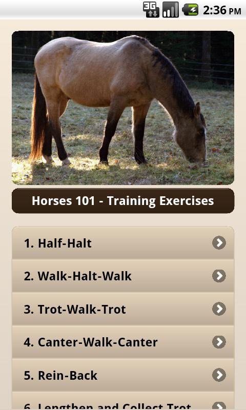 Horses 101 Training Exercises 1.1