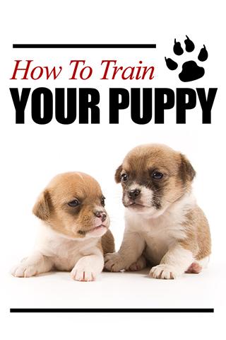 How to Train Your Puppy 1.0
