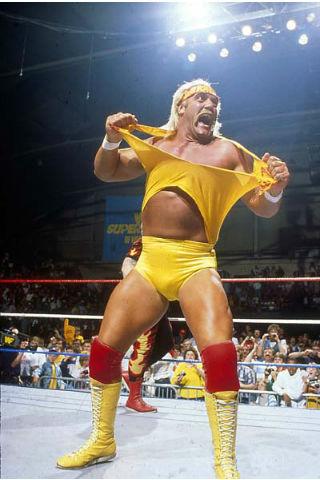 Hulk Hogan 207182