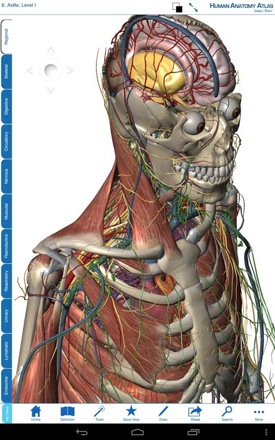 Human Anatomy Atlas Varies with device