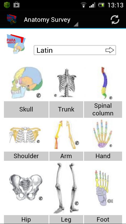 Human Anatomy 1.1