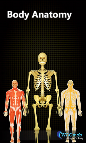 Human Body Anatomy 10.5.0.0