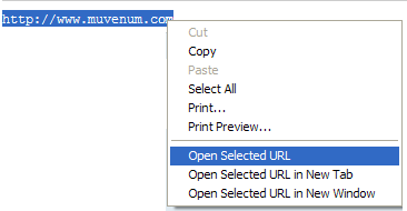IE Open Selected URL 1.0.1.0