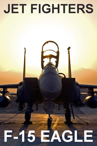 Jet Fighters: F-15 Eagle PRO 11.07.07