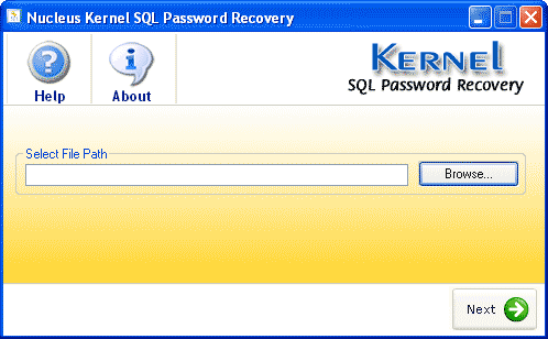 Kernel SQL Password Recovery 4.02