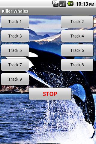 Killer Whale Sound Effects 1.0