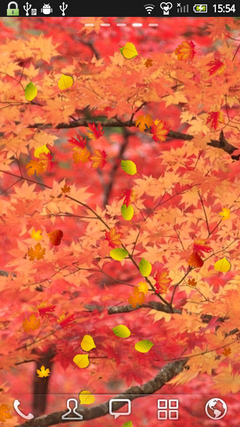 Maple leaf Live Wallpaper 1.0.1