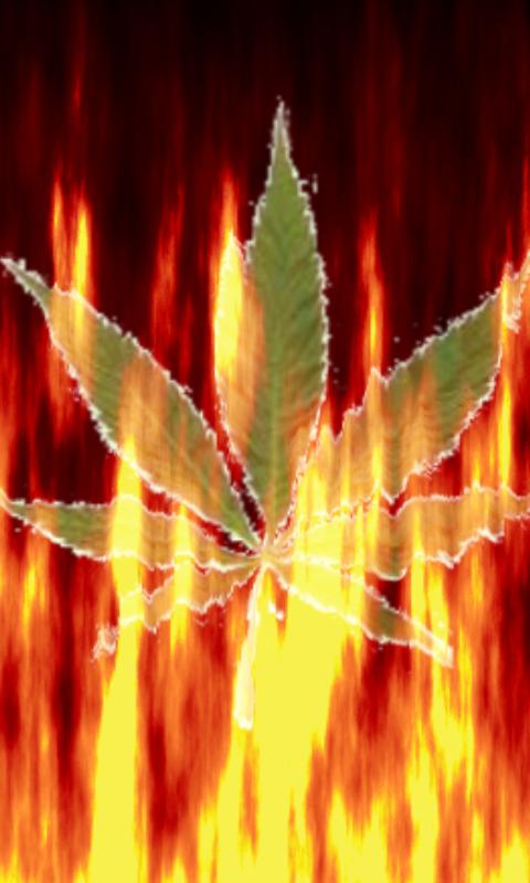 Marijuana LWP 1.0