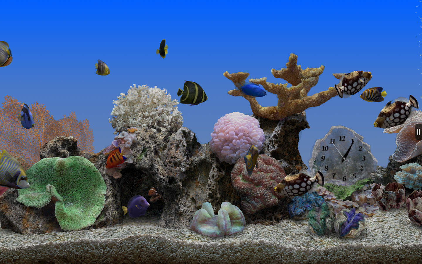 Marine Aquarium 3.2 PRO 1.04