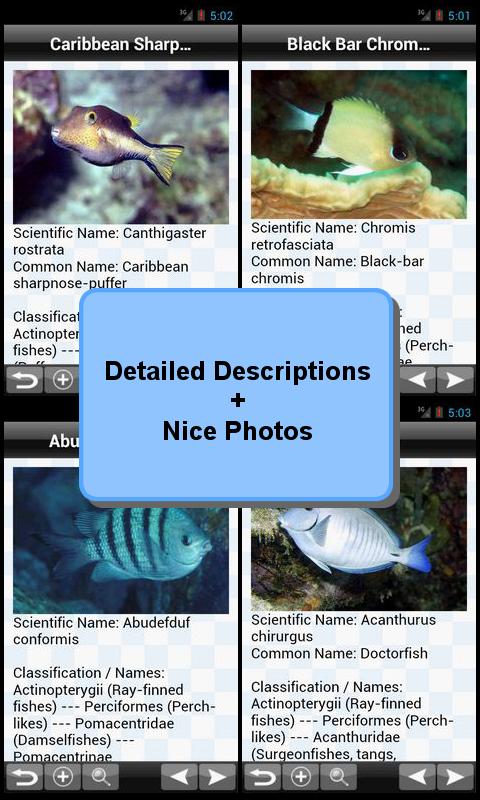 Marine Fish Encyclopedia 2.0