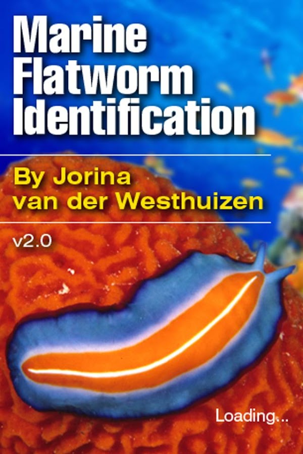 Marine Flatworms ID 1.0