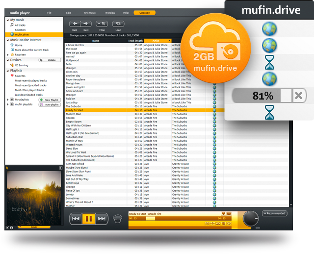 Mufin player 2.51 Build 248