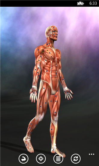 Muscle Trigger Points Anatomy 1.0.0.0