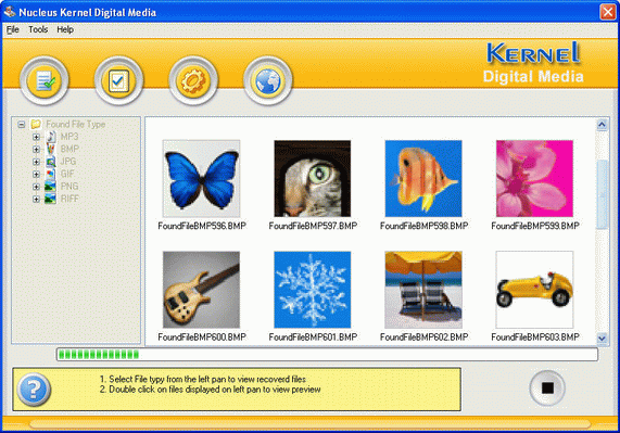 Nucleus Kernel Digital Media Recovery Software 4.02