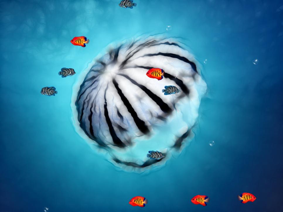 Ocean World Animated Wallpaper 1.0