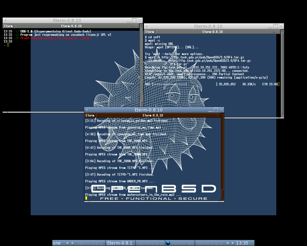 OpenBSD 4.6