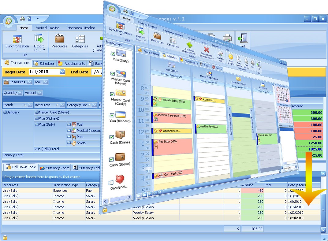 OrgFinances for Workgroup 2.8