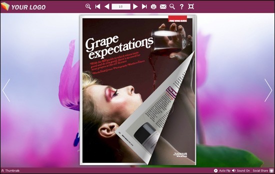 PDF to Flash Brochure (Pro) Neat Theme: Purple 1.0