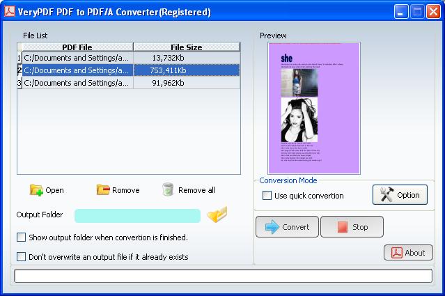 PDF to PDF/A-1b Converter 1.0