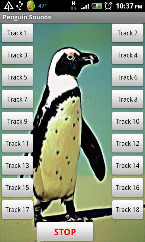 Penguins Sound Effects 1.0