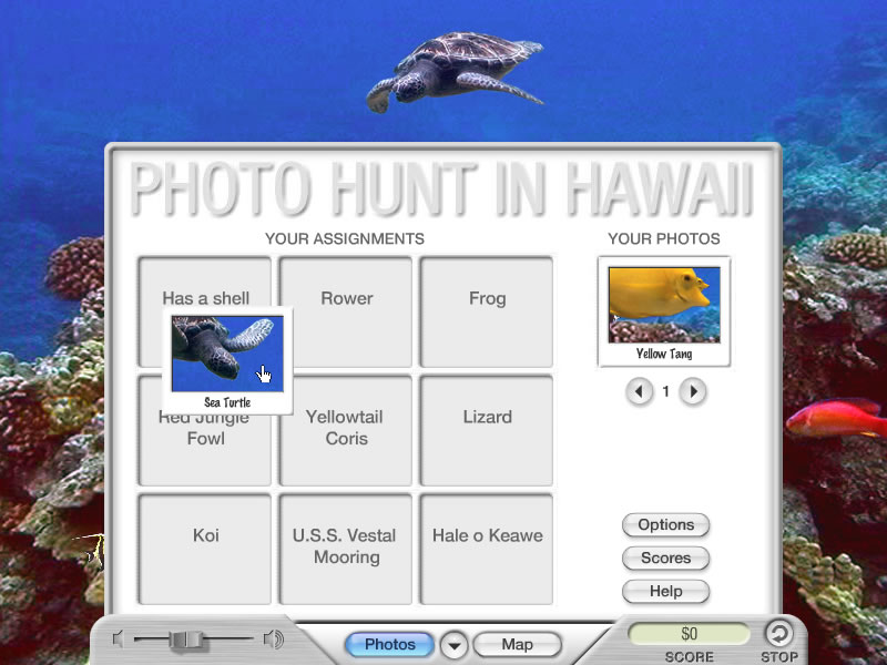 Photo Hunt in Hawaii 1.0