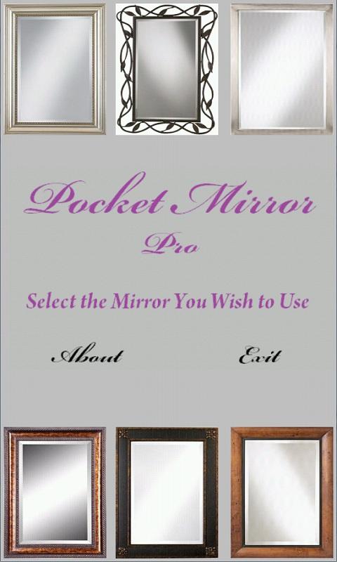 Pocket Mirror Pro 1.1