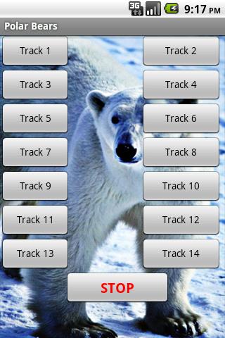 Polar Bear Sound Effects 1.0