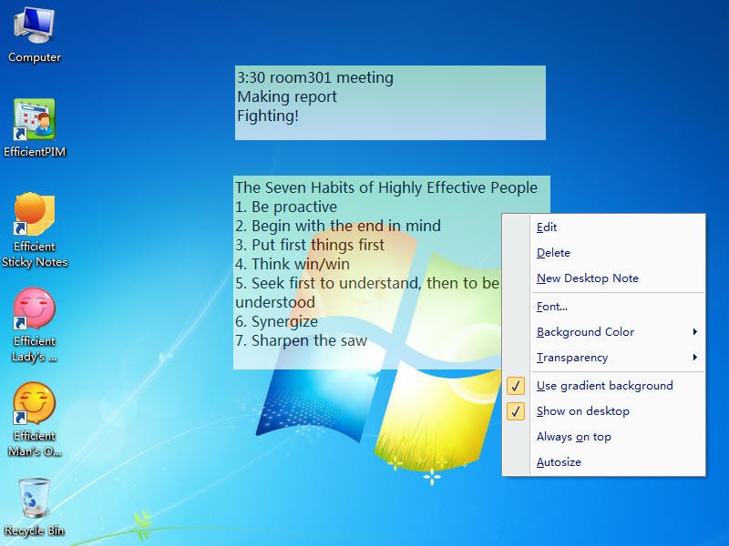 Portable Efficient Sticky Notes 5.50.0.540