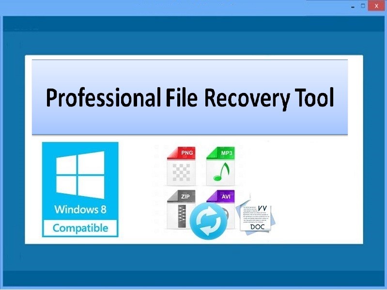 Professional File Recovery Tool 4.0.0.32