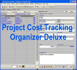 Project Cost Tracking Organizer Deluxe 3.9