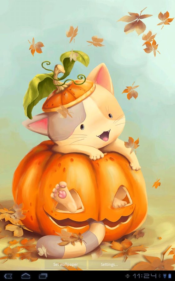 Pumpkin Kitten Live Wallpaper 1.1