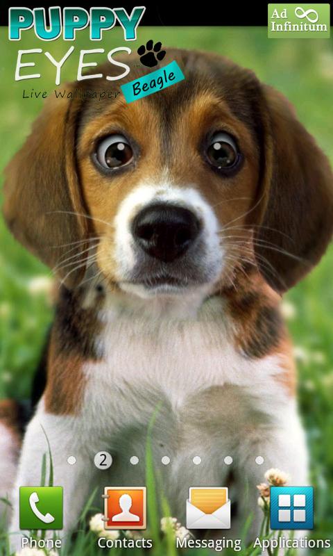 Puppy Beagle Live Wallpaper 1.09
