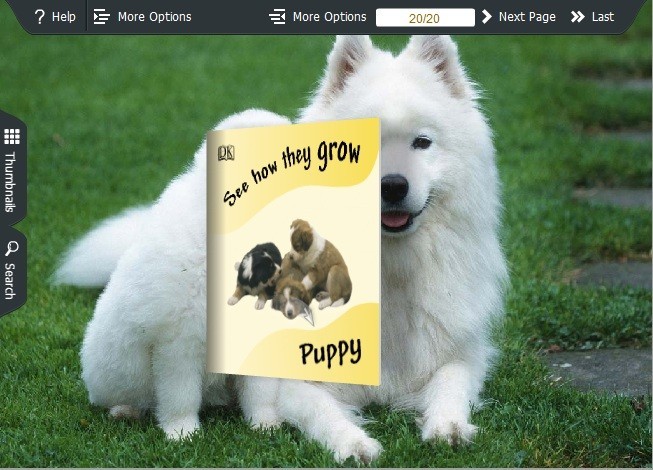 puppy Theme for Wise PDF to FlipBook pro 1.0