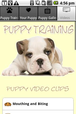 Puppy Training Tips 1.0