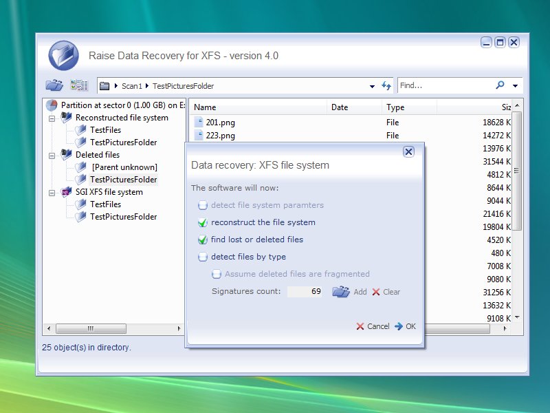 Raise Data Recovery for XFS 4.6