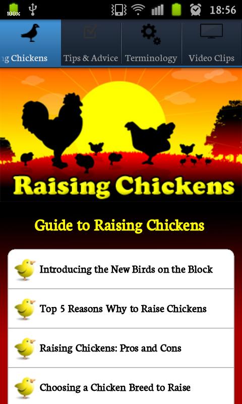 Raising Chickens 1.0