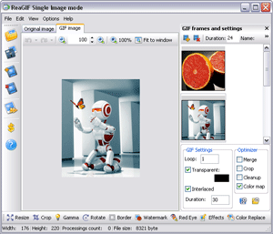 ReaGIF - Image converter to GIF 2