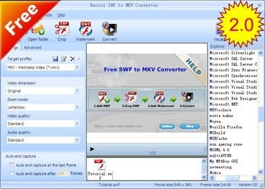 Recool SWF to MKV Converter 1.1
