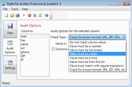 Right File Auditor 1.02.10