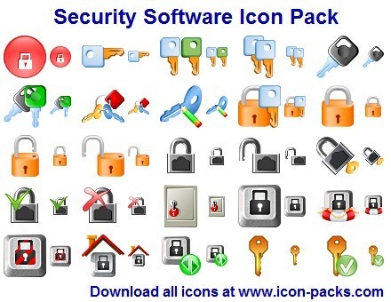 Security Software Icon 2012
