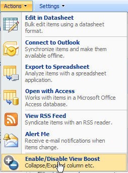 SharePoint View Boost 1.2.111.41