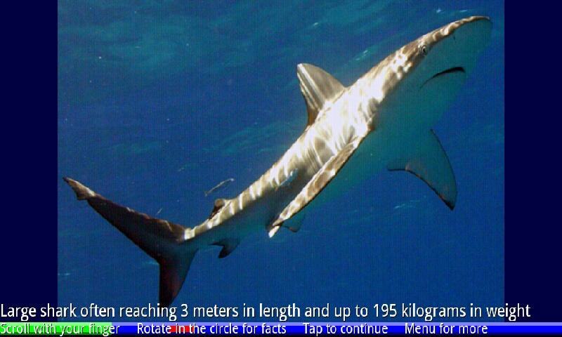 Sharks of the World 13.02.03