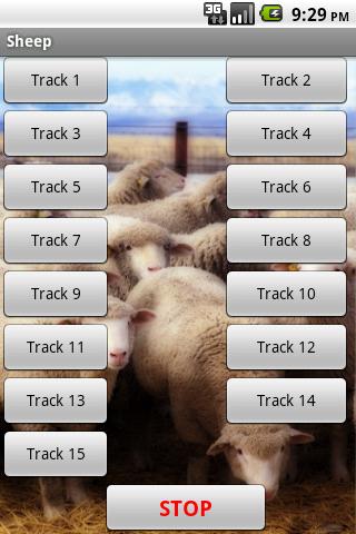 Sheep - Farm Sound Effects 1.0