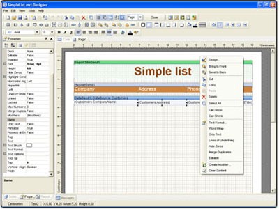 Stimulsoft Reports.Net with Source Code 2008.1