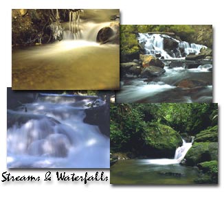 Streams and Waterfalls Screen Saver 1.0